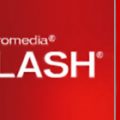 Flash, présentation de Flash 8