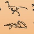 Formes Dinosaures 01