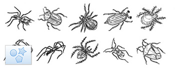 Formes personnalisées Insectes 01