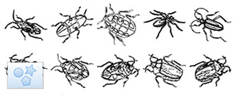 Formes personnalisées Insectes 02