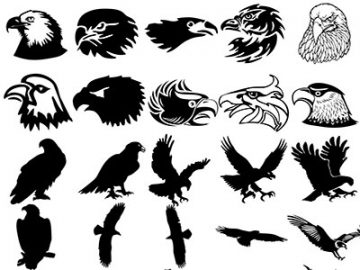 Formes : Aigles (1) Formes Aigles (1)