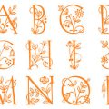 formes-alphabet-fleurs-1
