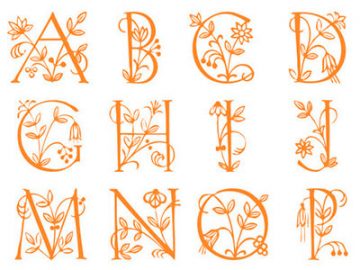 formes-alphabet-fleurs-1