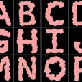 Formes Alphabet fleurs (2)