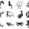 Formes Animaux (1)