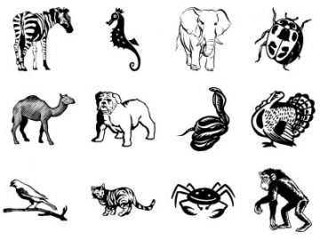 Formes : Animaux (1) Formes Animaux (1)