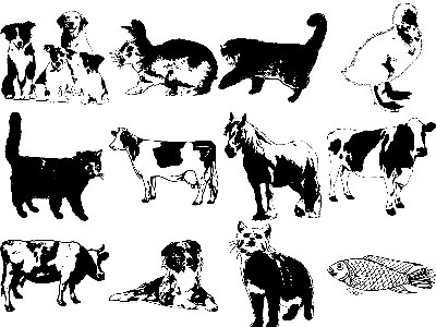 Formes Animaux (10)