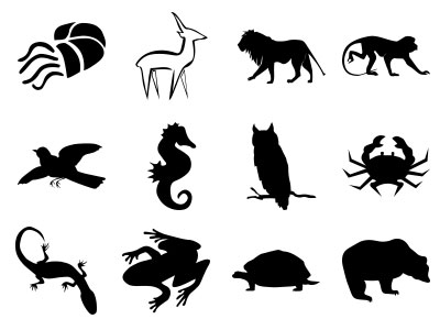 Formes Animaux (2)