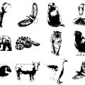 Formes Animaux (8)