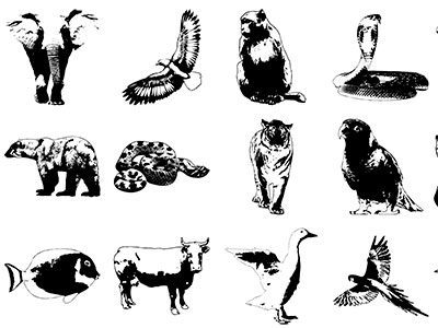 Formes Animaux (8)