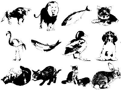 Formes Animaux (9)