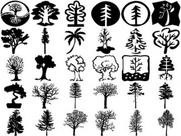 Formes Arbres (1) Formes Arbres (1)