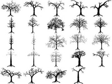 Formes Arbres (12) Formes Arbres (12)