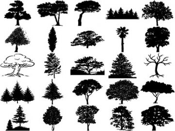 Formes Arbres (14) Formes Arbres (14)