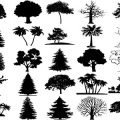 Formes Arbres (15)