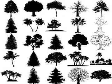 Formes Arbres (15) Formes Arbres (15)