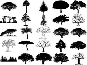 Formes Arbres (16) Formes Arbres (16)