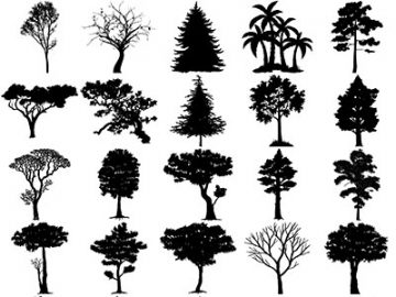 Formes Arbres (17) Formes Arbres (17)