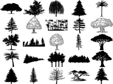 Formes Arbres (18) Formes Arbres (18)