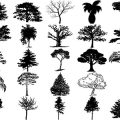 Formes Arbres (19)