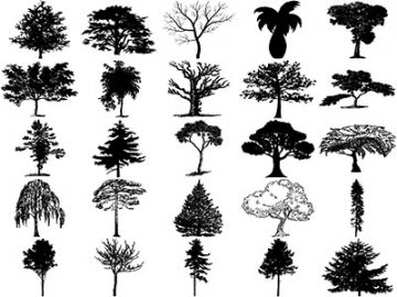 Formes Arbres (19) Formes Arbres (19)