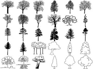 Formes Arbres (2) Formes Arbres (2)