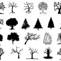 Formes Arbres (4)