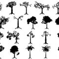 Formes Arbres (5)
