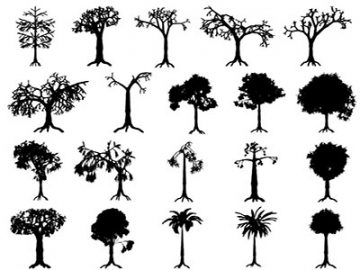 Formes Arbres (5) Formes Arbres (5)