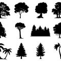 Formes Arbres (6)