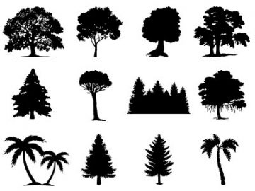 Formes Arbres (6)