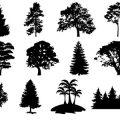 Formes Arbres (7)