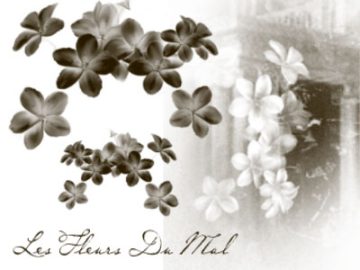 Pinceaux : The flowers of evil Pinceaux The flowers of evil