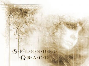 Pinceaux : Winter grace Pinceaux Winter grace