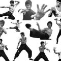 Pinceaux Bruce Lee