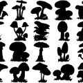 Formes Champignons (6)