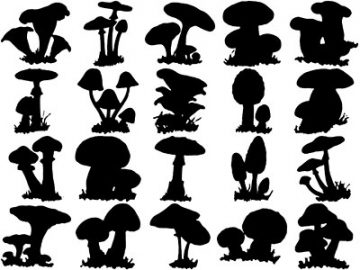 Formes Champignons (6)