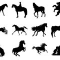 Formes Chevaux (1)