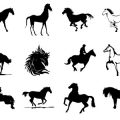 Formes Chevaux (2)