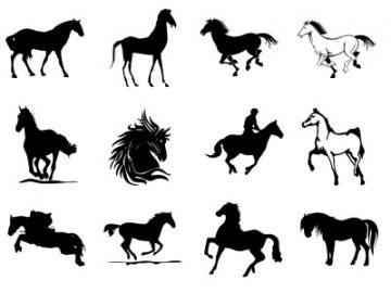 Formes : Chevaux (2) Formes Chevaux (2)