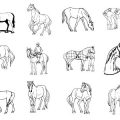 Formes Chevaux (3)