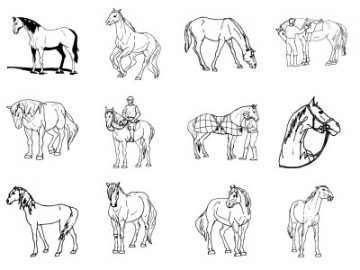 Formes Chevaux (3)