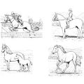 Formes Chevaux (4)
