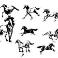 Formes Chevaux (5)