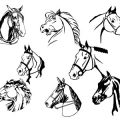 Formes Chevaux (6)
