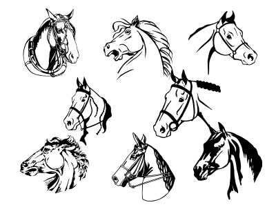 Formes Chevaux (6)