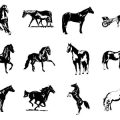 Formes Chevaux (7)