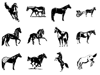 Formes Chevaux (7)