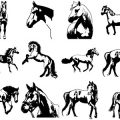 Formes Chevaux (8)