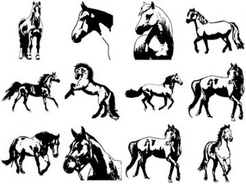Formes Chevaux (8)